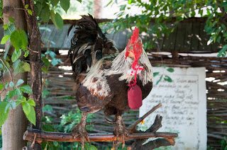 Road Trip Cetatea Neamt 13