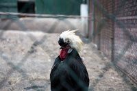 Road Trip Cetatea Neamt 32