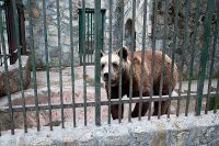 Road Trip Cetatea Neamt 33