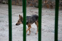Road Trip Cetatea Neamt 34