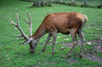 Road Trip Cetatea Neamt 35