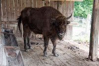 Road Trip Cetatea Neamt 36