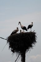 Road Trip Cetatea Neamt 37