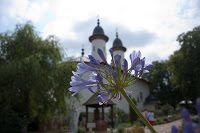 Road Trip Cetatea Neamt 44