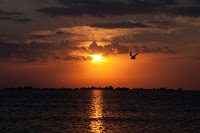 Road Trip Noapte la mare, noapte la munte 2