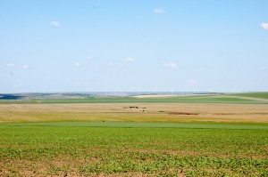 Road Trip - Cetatile din Dobrogea 16