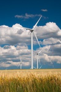 Road Trip - Cetatile din Dobrogea 35