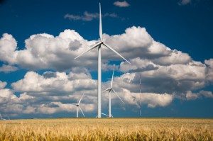 Road Trip - Cetatile din Dobrogea 37