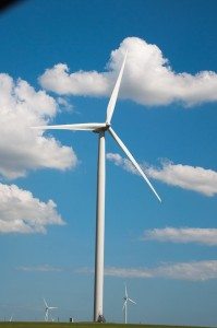 Road Trip - Cetatile din Dobrogea 36