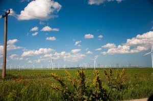 Road Trip - Cetatile din Dobrogea 38