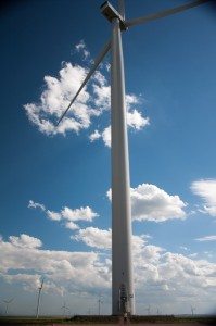 Road Trip - Cetatile din Dobrogea 39