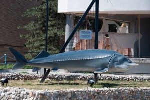 Road Trip - Cetatile din Dobrogea 72