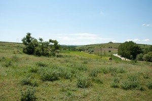 Road Trip - Cetatile din Dobrogea 73