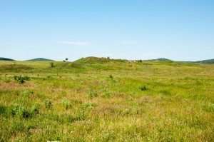 Road Trip - Cetatile din Dobrogea 78