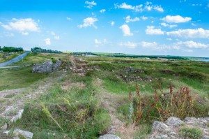 Road Trip - Cetatile din Dobrogea 81