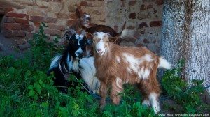 Road Trip - Salina Turda Road Trip - Salina Turda 3
