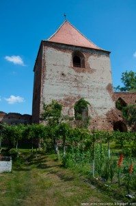 Road Trip - Salina Turda Road Trip - Salina Turda 6