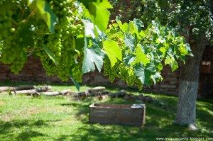 Road Trip - Salina Turda Road Trip - Salina Turda 4