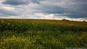 Road Trip - Salina Turda Road Trip - Salina Turda 24