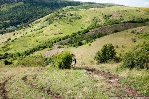 Road Trip - Salina Turda Road Trip - Salina Turda 28
