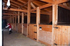 Road Trip - Salina Turda Road Trip - Salina Turda 67