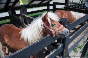 Road Trip - Salina Turda Road Trip - Salina Turda 68