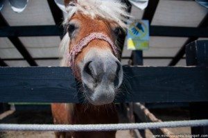 Road Trip - Salina Turda Road Trip - Salina Turda 69