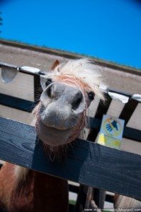 Road Trip - Salina Turda Road Trip - Salina Turda 70