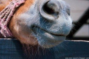 Road Trip - Salina Turda Road Trip - Salina Turda 72