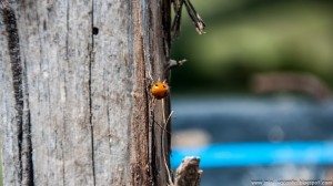 Road Trip - Salina Turda Road Trip - Salina Turda 94