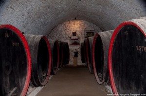 Road Trip - Salina Turda Road Trip - Salina Turda 105