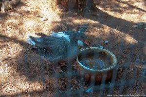 Road Trip - Lefkada (1 saptamana) 60