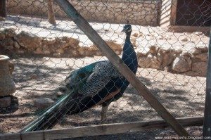 Road Trip - Lefkada (1 saptamana) 61