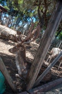 Road Trip - Lefkada (1 saptamana) 62