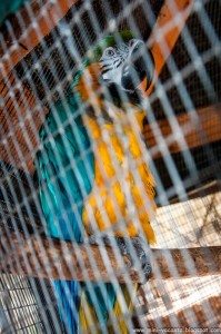 Road Trip - Lefkada (1 saptamana) 63