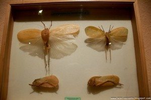 Road Trip - Baile Tusnad 37