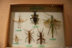 Road Trip - Baile Tusnad 38