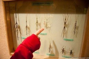 Road Trip - Baile Tusnad 40