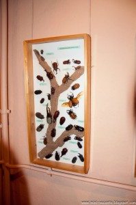 Road Trip - Baile Tusnad 45