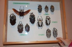 Road Trip - Baile Tusnad 42