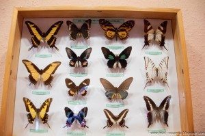 Road Trip - Baile Tusnad 43