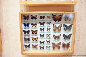 Road Trip - Baile Tusnad 44