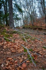 Road Trip - Baile Tusnad Road Trip - Baile Tusnad 60