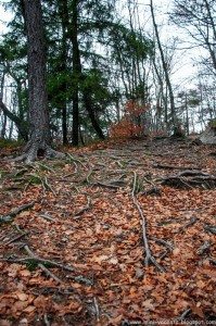 Road Trip - Baile Tusnad Road Trip - Baile Tusnad 61