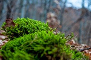 Road Trip - Baile Tusnad 67