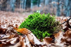 Road Trip - Baile Tusnad 68