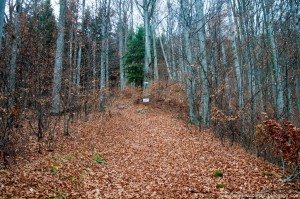 Road Trip - Baile Tusnad 62