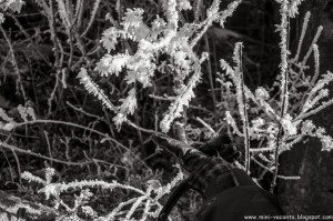 Road Trip - Sighisoara 16