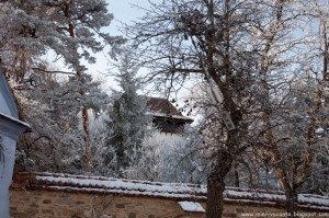 Road Trip - Sighisoara 23