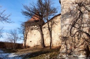 Road Trip - Sighisoara 27